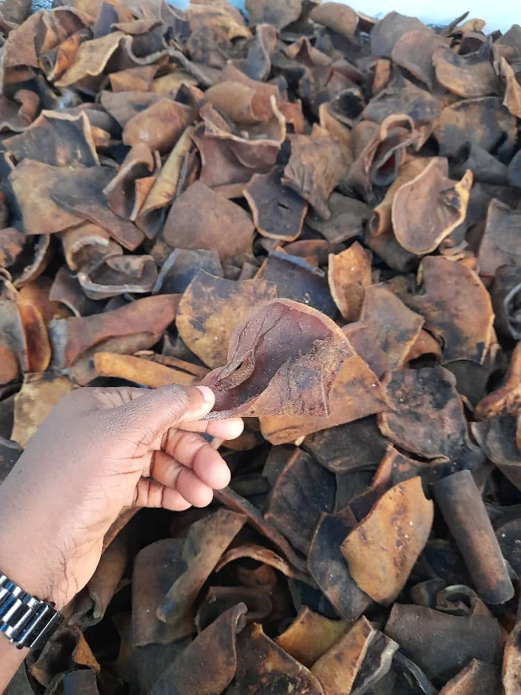 Ponmo Ijebu